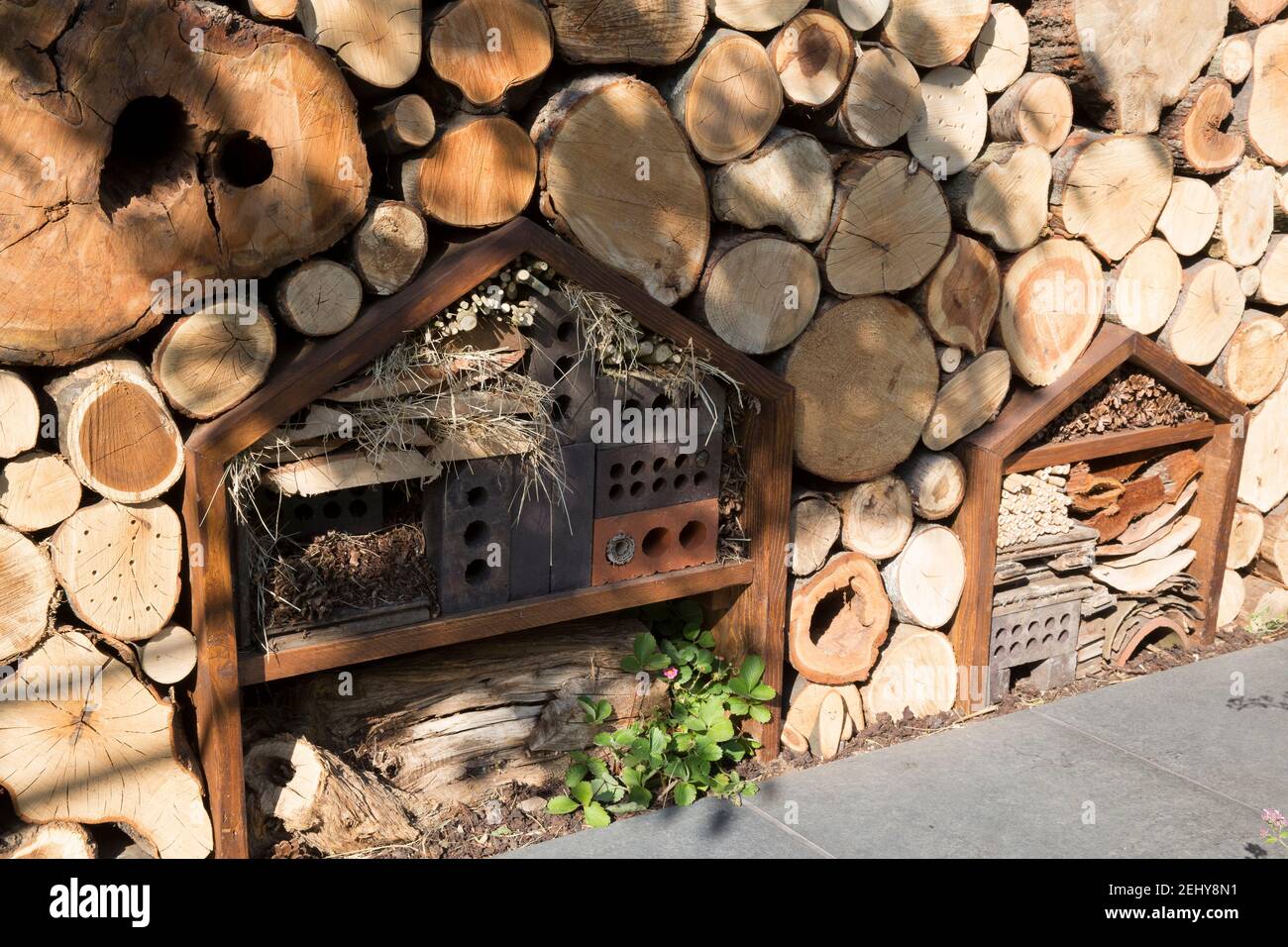 jardin écologique avec un mur en rondins avec insectes hôtels bug habitat de motel pour pollinisateurs fait avec des briques anciennes, brindilles, carreaux, carton Banque D'Images