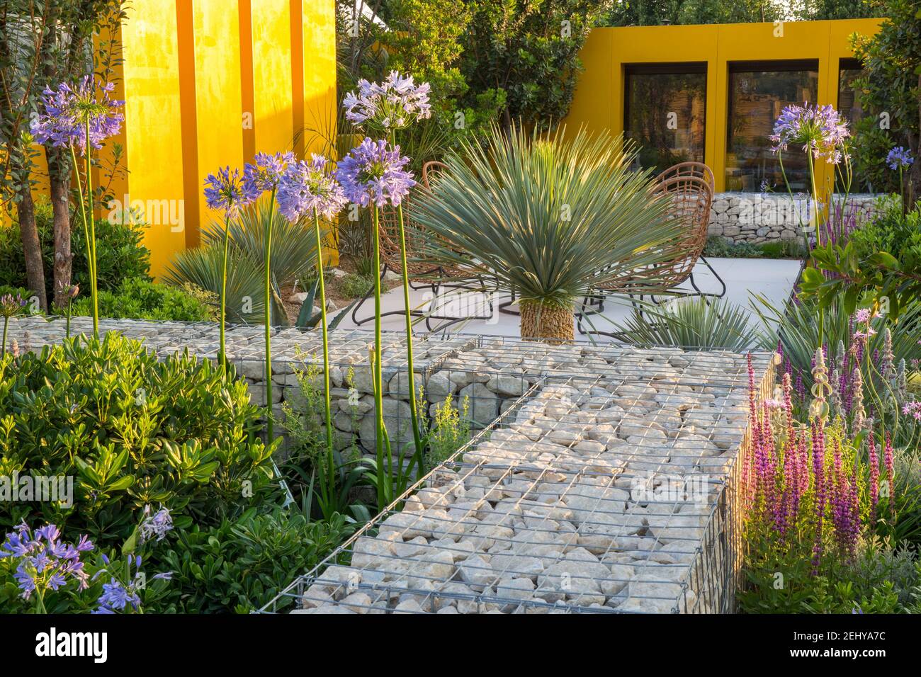Bureau de jardin moderne - studio de bureau à la maison dans le jardin de climat méditerranéen avec Agapanthus Blue Storm et Yucca rostrata Blue Swan gabions mur Banque D'Images
