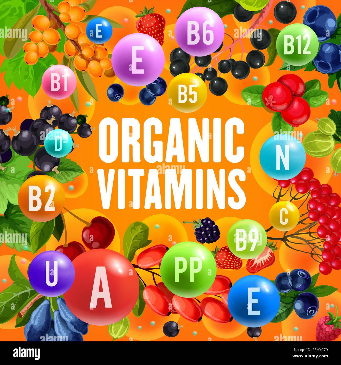 Baies contenu en vitamines et avantages pour la santé affiche vectorielle. Fraise, cerise et myrtille, mûre, canneberge et cassis, groseille, rodoir Illustration de Vecteur