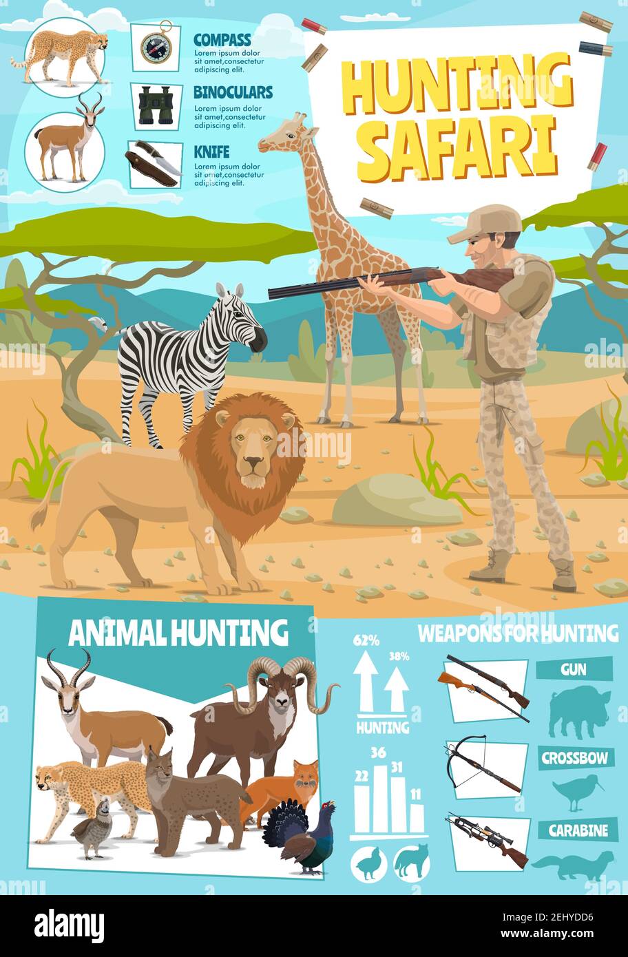 Équipement de sport de chasse et infographies de la saison de chasse. Diagramme statistique vectoriel sur les animaux sauvages de safari africains, chasseur ammo rife canon et piège pour lion, Illustration de Vecteur