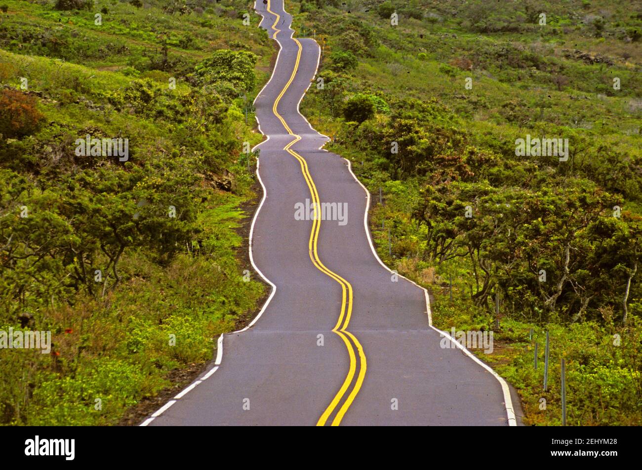 HANA Road , île de Maui, Hawaï, États-Unis Banque D'Images