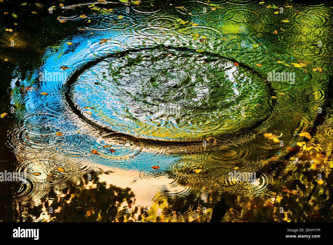 Des ondulations se forment à la surface d'un étang tranquille lors d'une douce douche de pluie dans un cadre naturel serein Banque D'Images