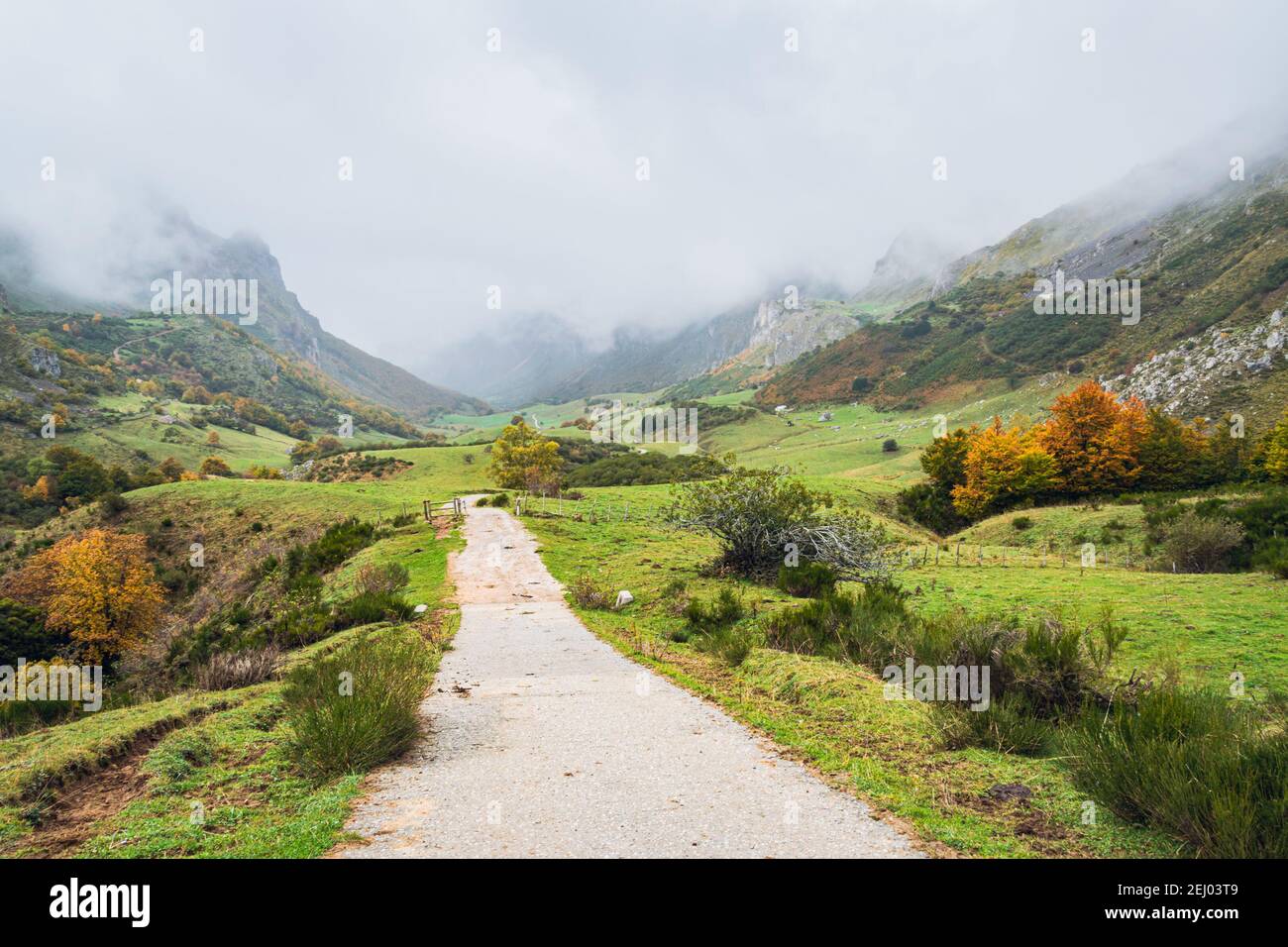 Route dans une vallée dans le parc national de Somiedo dans les Asturies, en Espagne, lors d'un jour pluvieux d'automne. Paysage automnal pittoresque du nord de l'Espagne. Banque D'Images