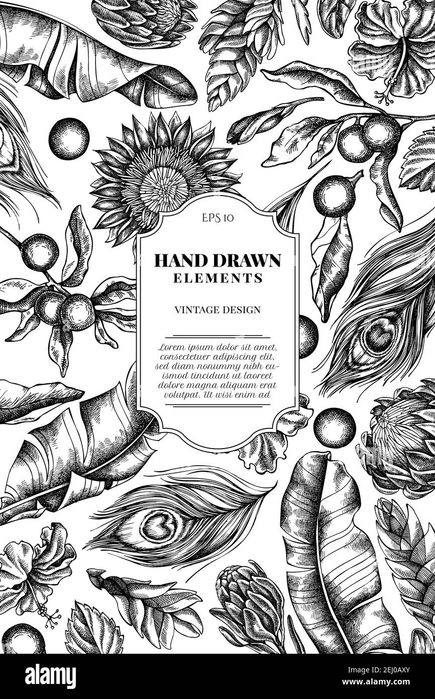 Motif carte avec feuilles de banane noir et blanc, hibiscus, solanum, broméliade, plumes de paon, protea Illustration de Vecteur