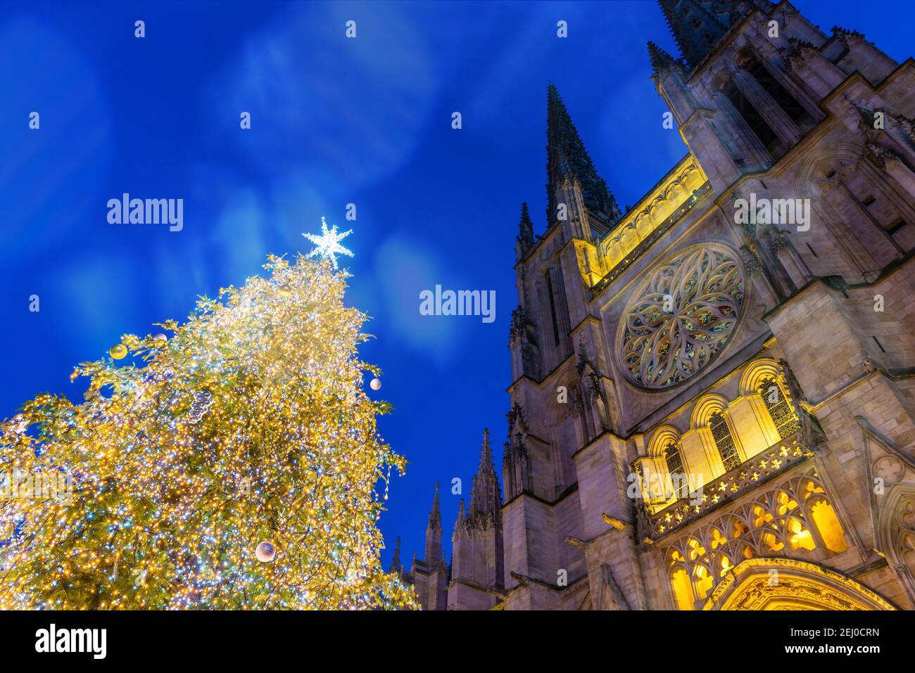 Arbre de Noël en face de la cathédrale Saint-André la nuit à Bordeaux en Nouvelle-Aquitaine, France Banque D'Images