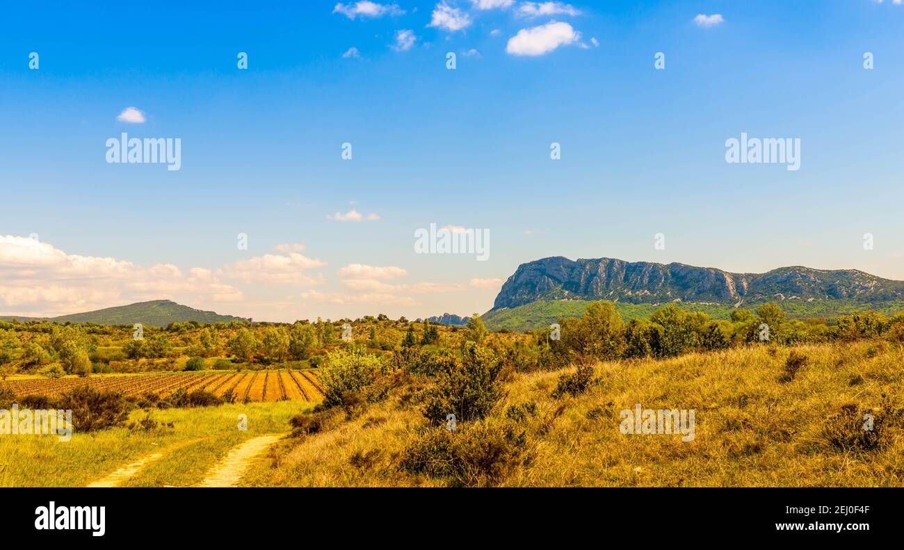 Pic Saint Loup dans l'Hérault en Occitania, France Banque D'Images