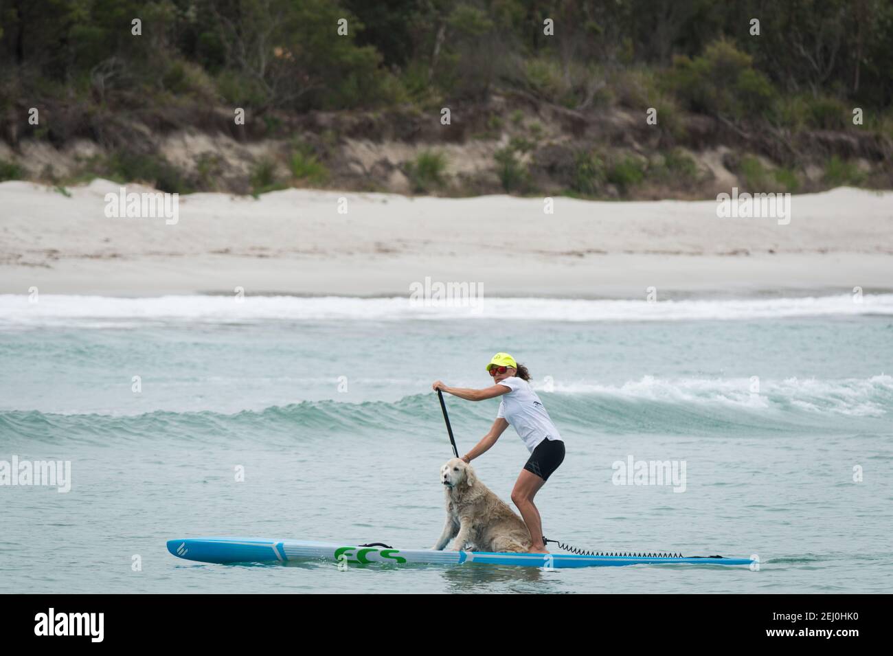 Un paddleboarder debout avec leur chien à Huskssisson, Nouvelle-Galles du Sud, Australie. Banque D'Images
