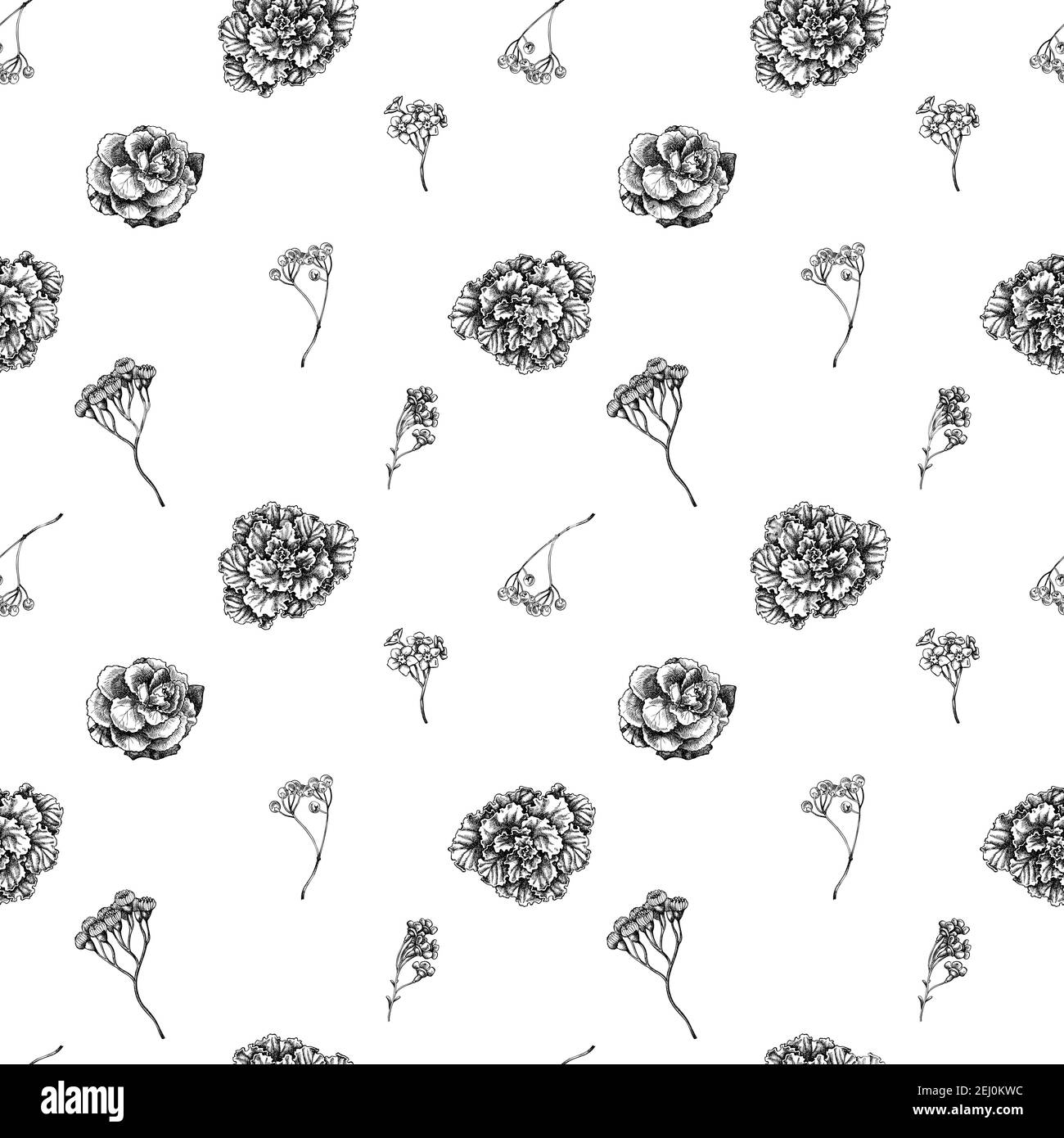 Motif sans couture avec fleur de cire noire et blanche, oubliez-moi pas fleur, tansy, ardisia, brassica, chou décoratif Illustration de Vecteur