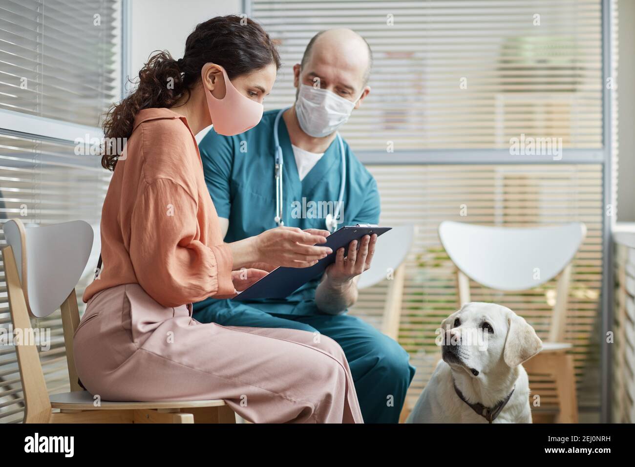 Vue latérale portrait de la jeune femme portant un masque tout en parlant à un vétérinaire dans la salle d'attente à la clinique vétérinaire avec chien blanc, espace copie Banque D'Images
