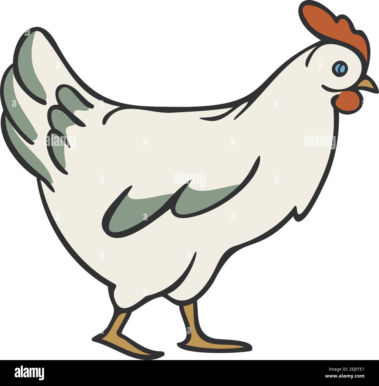 Illustration vectorielle d'une poule de ferme isolée sur un fond blanc. Illustration de Vecteur