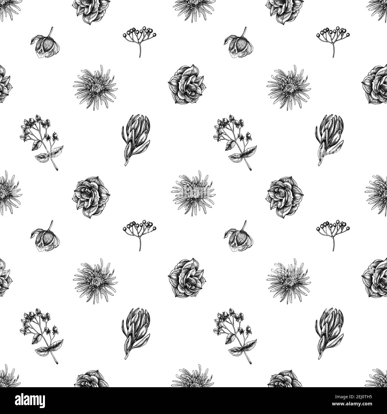 Motif sans couture avec viburnum noir et blanc, hypericum, tulipe, aster, leucadendron, amaryllis Illustration de Vecteur