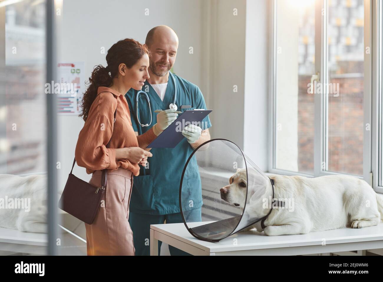 Portrait d'une jeune femme parlant au vétérinaire à la clinique vétérinaire avec un chien d'animal de compagnie portant un collier de protection à la table d'examen, espace de copie Banque D'Images