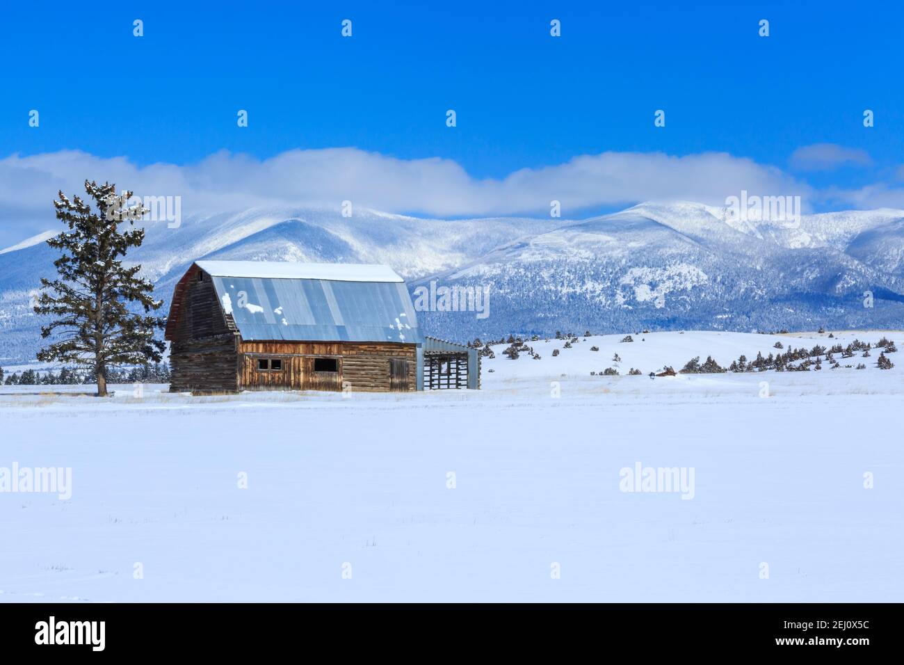 ancienne grange en bois sous le mont baldy dans les grandes montagnes près de townsend, montana Banque D'Images
