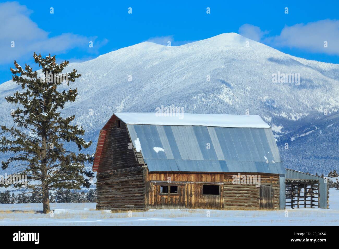ancienne grange en bois sous le mont baldy dans les grandes montagnes près de townsend, montana Banque D'Images