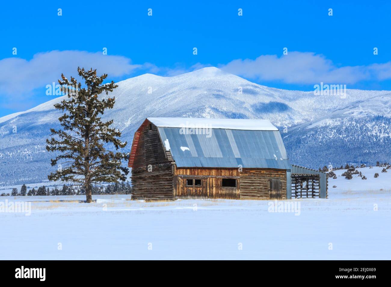 ancienne grange en bois sous le mont baldy dans les grandes montagnes près de townsend, montana Banque D'Images