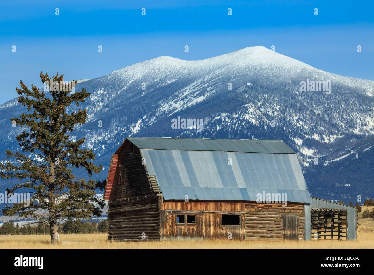 ancienne grange en bois sous le mont baldy dans les grandes montagnes près de townsend, montana Banque D'Images