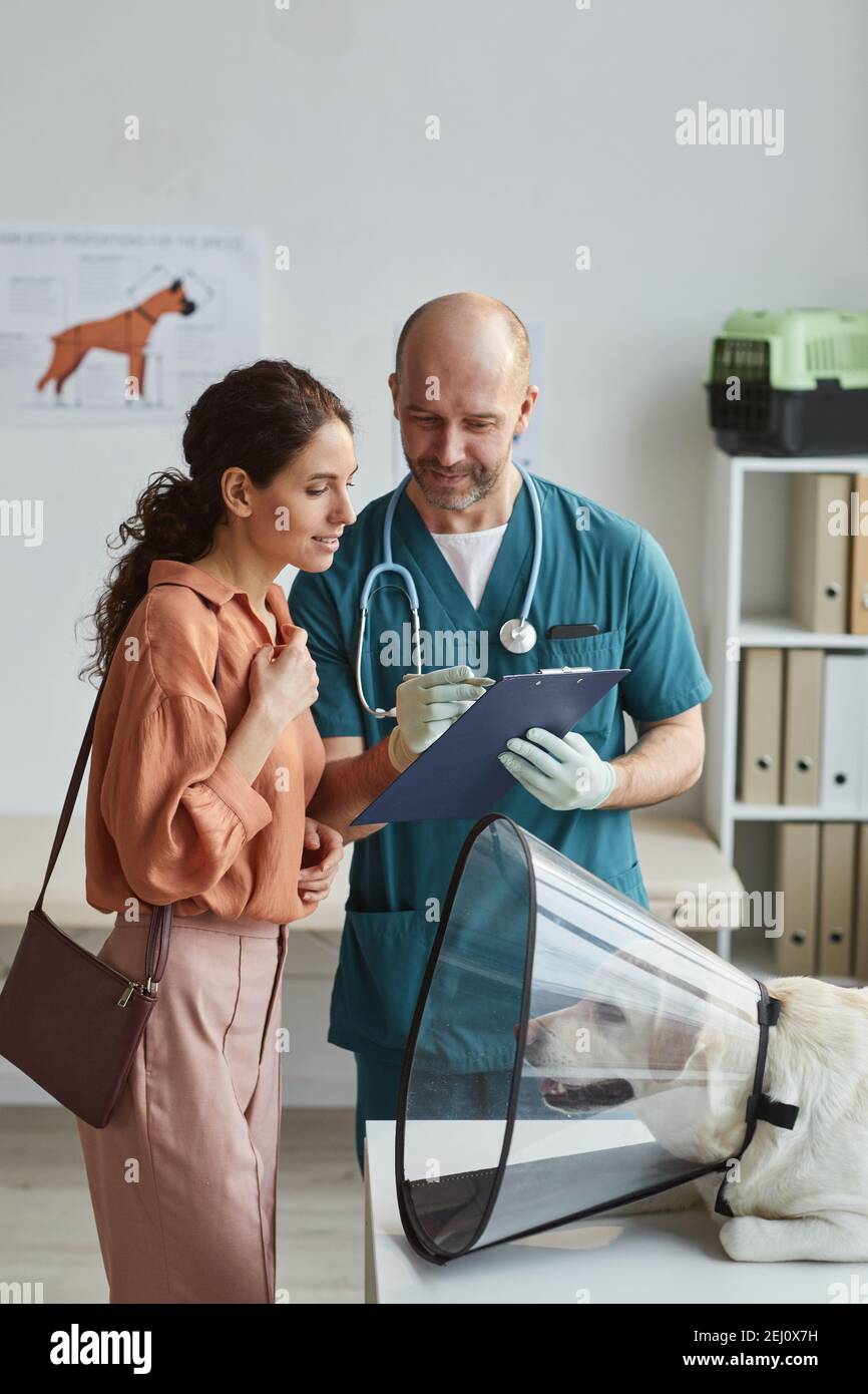 Portrait vertical de la jeune femme parlant au vétérinaire au vétérinaire clinique avec chien de compagnie portant un collier de protection à la table d'examen Banque D'Images