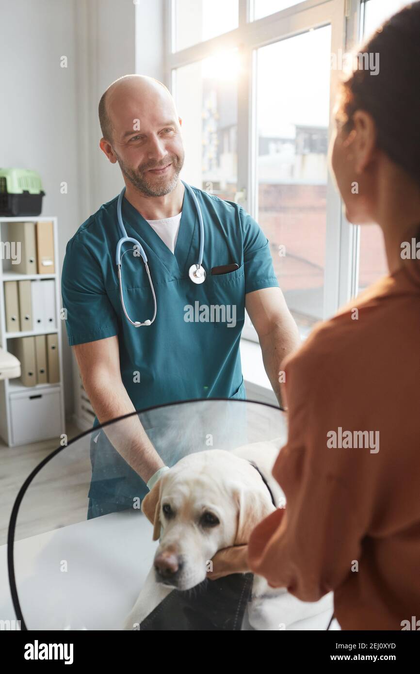Portrait vertical du chien d'examen vétérinaire mature à la clinique vétérinaire tout en parlant à une jeune femme Banque D'Images
