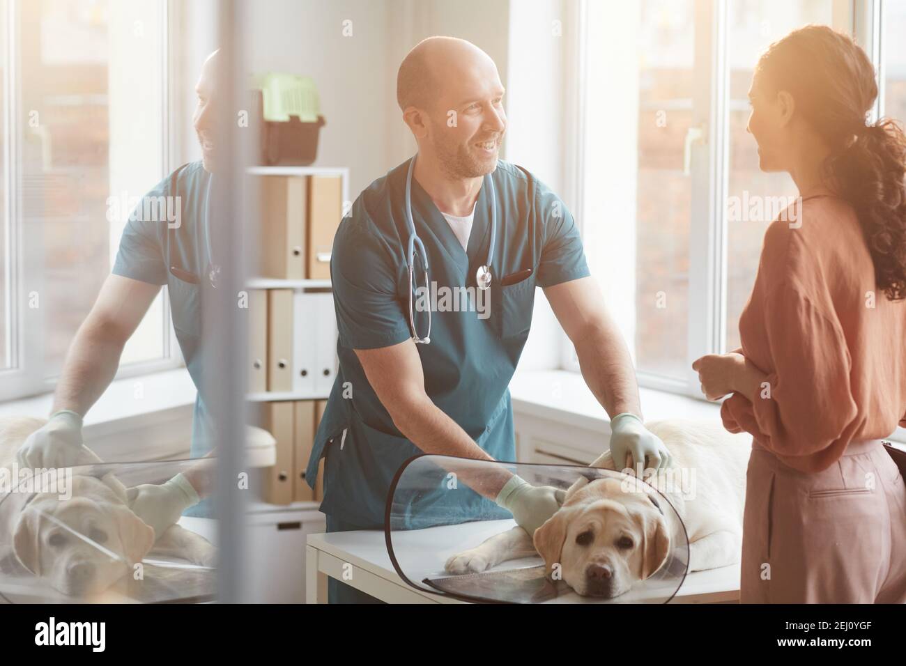Portrait d'un vétérinaire mature examinant le chien à la clinique vétérinaire et souriant tout en parlant à la jeune femme, scène éclairée par la lumière du soleil, copier l'espace Banque D'Images