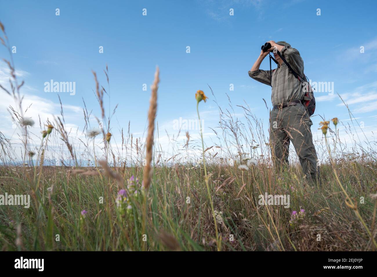 Jeff Fields, gestionnaire de programme pour la réserve de Zumwalt Prairie de TNC, en regardant la prairie, Oregon. Banque D'Images