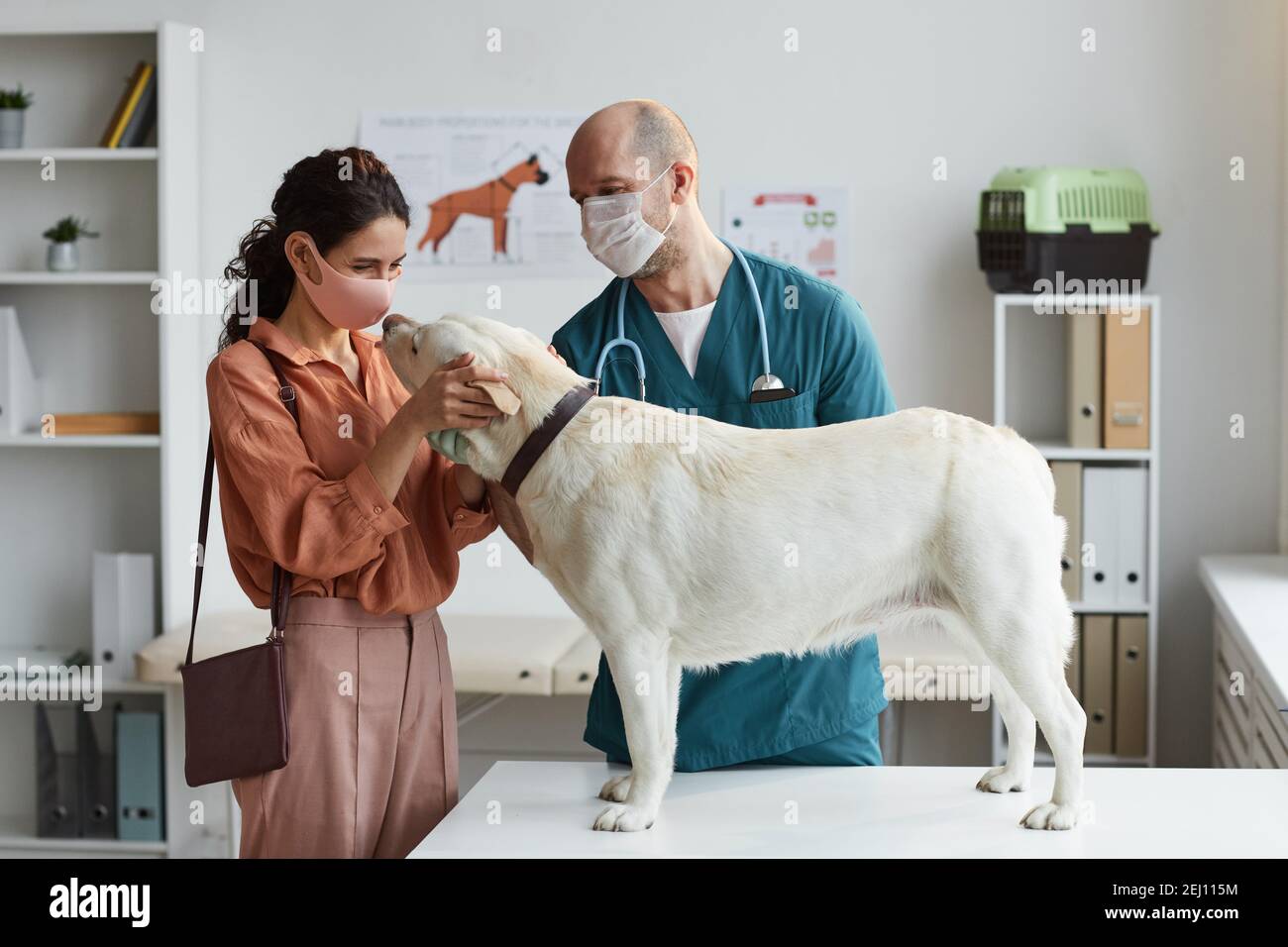 Vue latérale sur le chien blanc debout à la table d'examen à la clinique vétérinaire avec une jeune femme médecin le caressant, espace de copie Banque D'Images