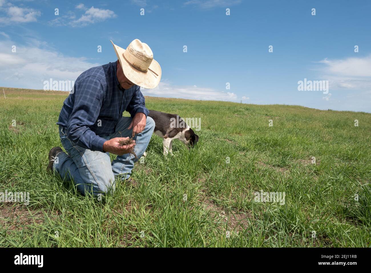 Le rancher Dan Probert sur la Zumwalt Prairie, dans le nord-est de l'Oregon. Banque D'Images