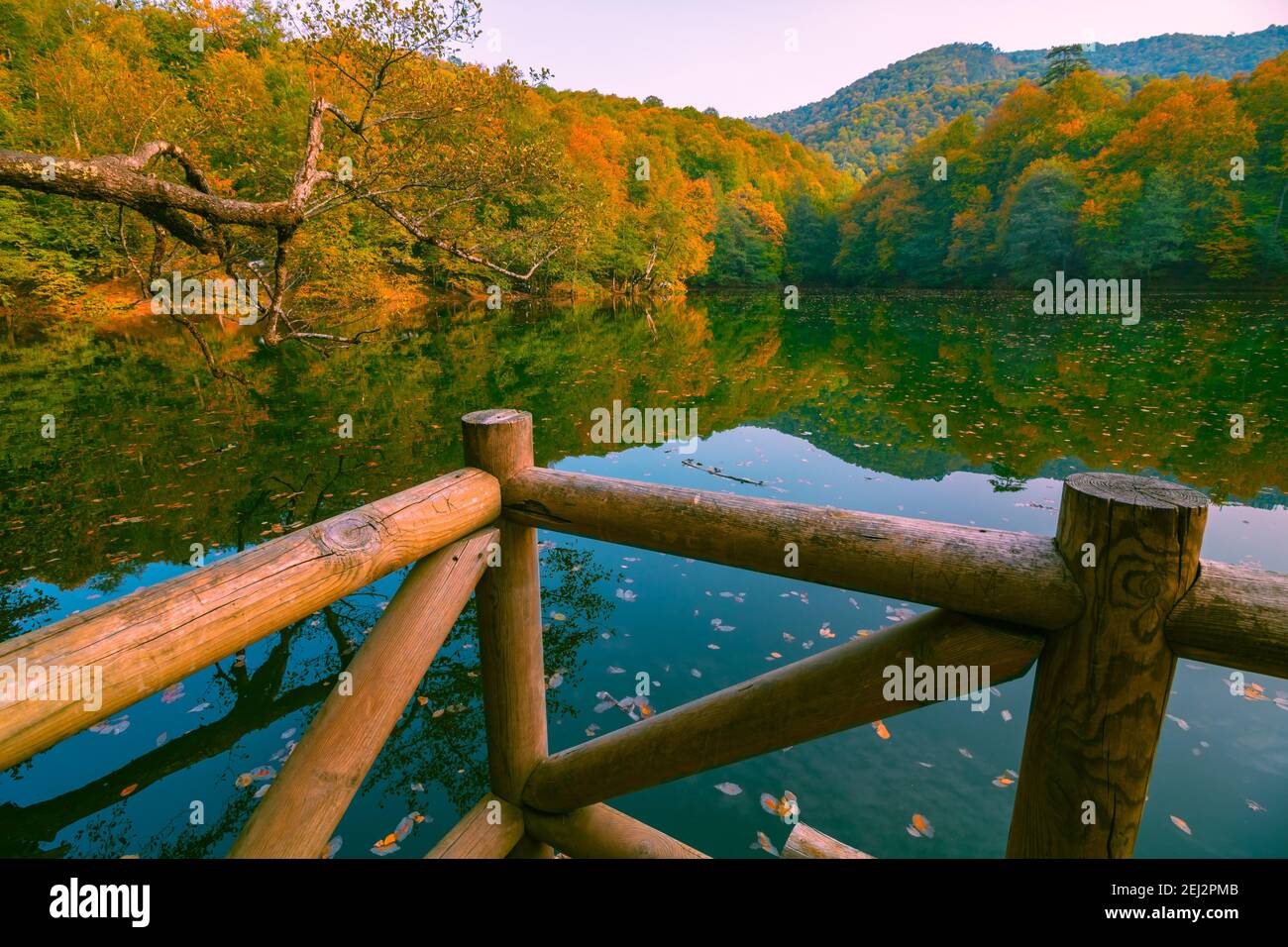 Garde-corps en bois de la jetée et du lac dans la forêt à l'automne. Photo de fond d'automne. Beau paysage du lac et de la forêt. Bolu Yedigoler. Banque D'Images