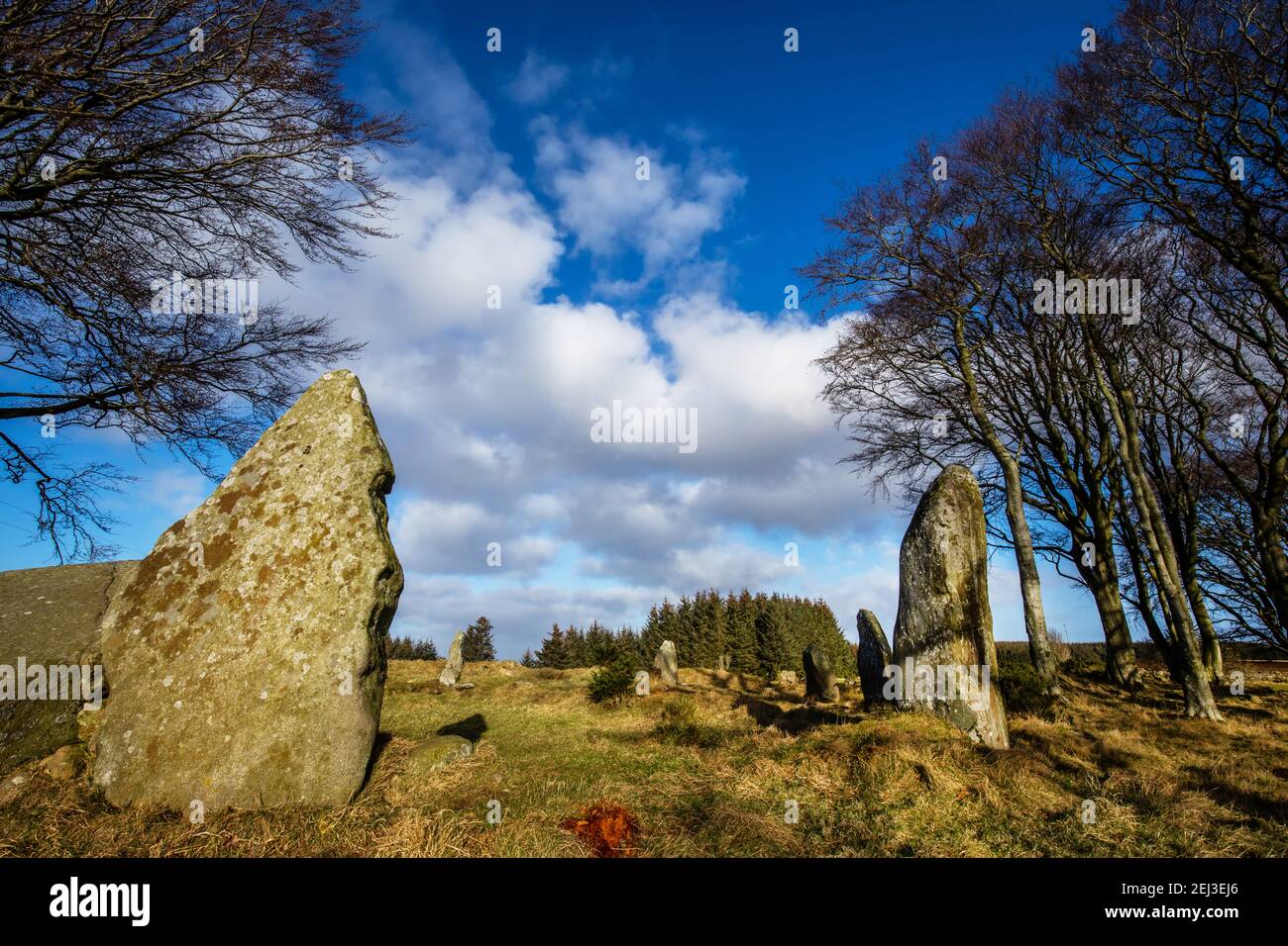 Tirebagger ou Kirkhill Stone Circle près de l'aéroport de Dyce à Aberdeen, en Écosse Banque D'Images