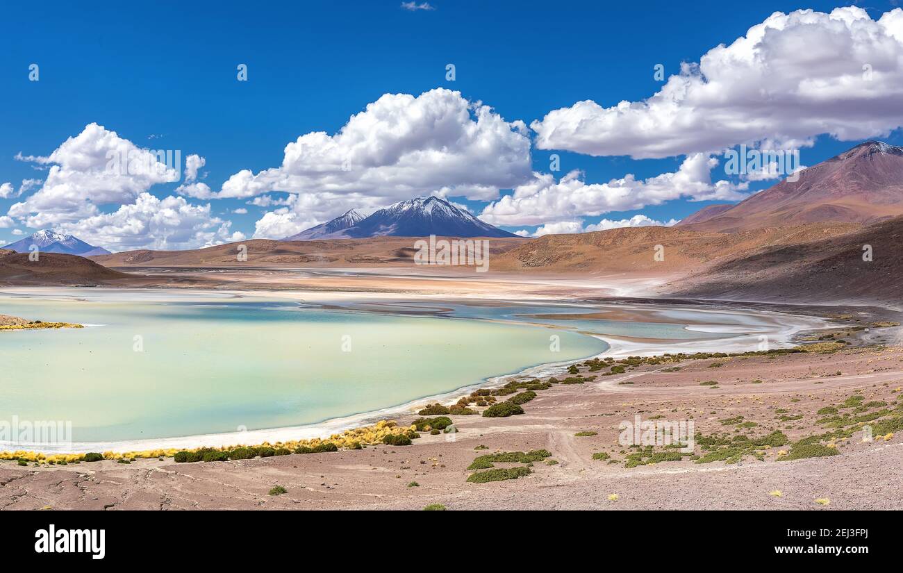 Lumière verte sous le soleil. Lagoon de Honda dans l'Altiplano bolivien. Amérique du Sud Banque D'Images