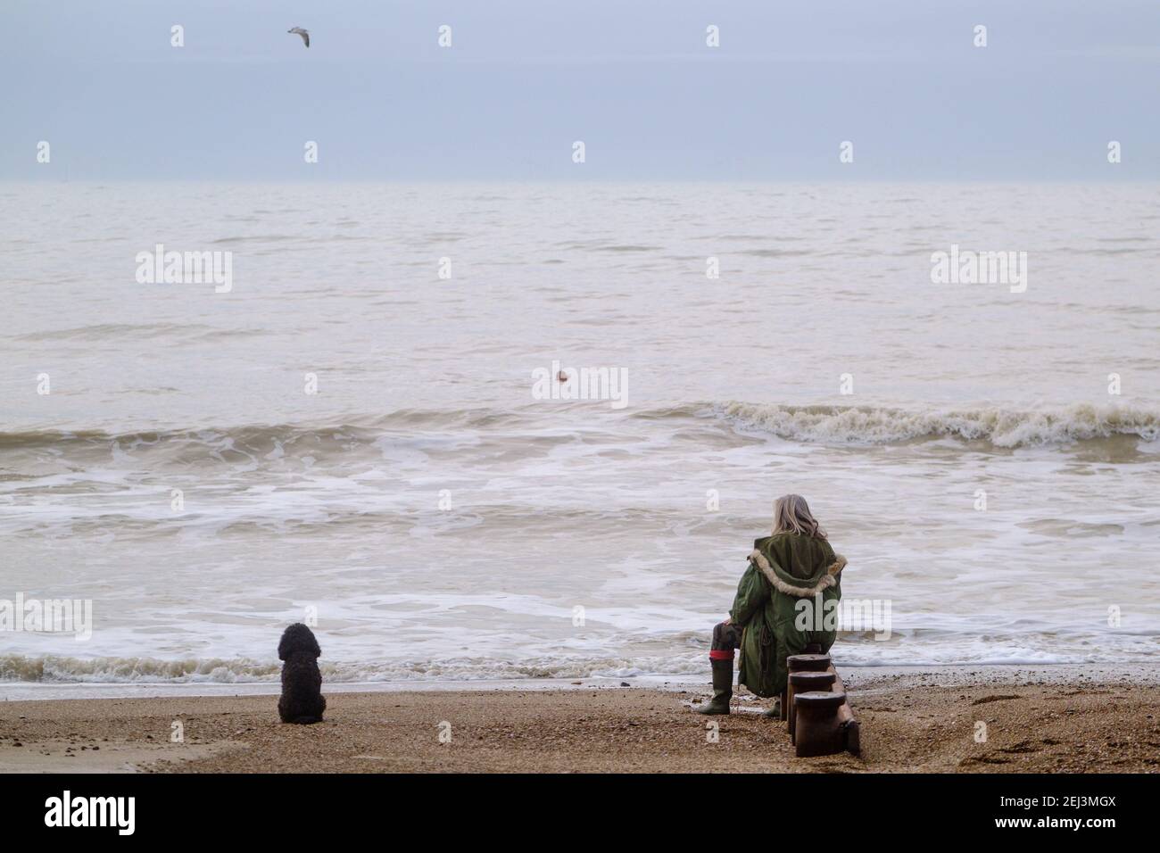 Une femme et son chien regardent un nageur d'eau libre tout en s'asseyant sur une groyne sur une plage de Misty Worthing le dimanche 21 février 2021 à Worthing Beach, Worthing. . Photo de Julie Edwards. Banque D'Images