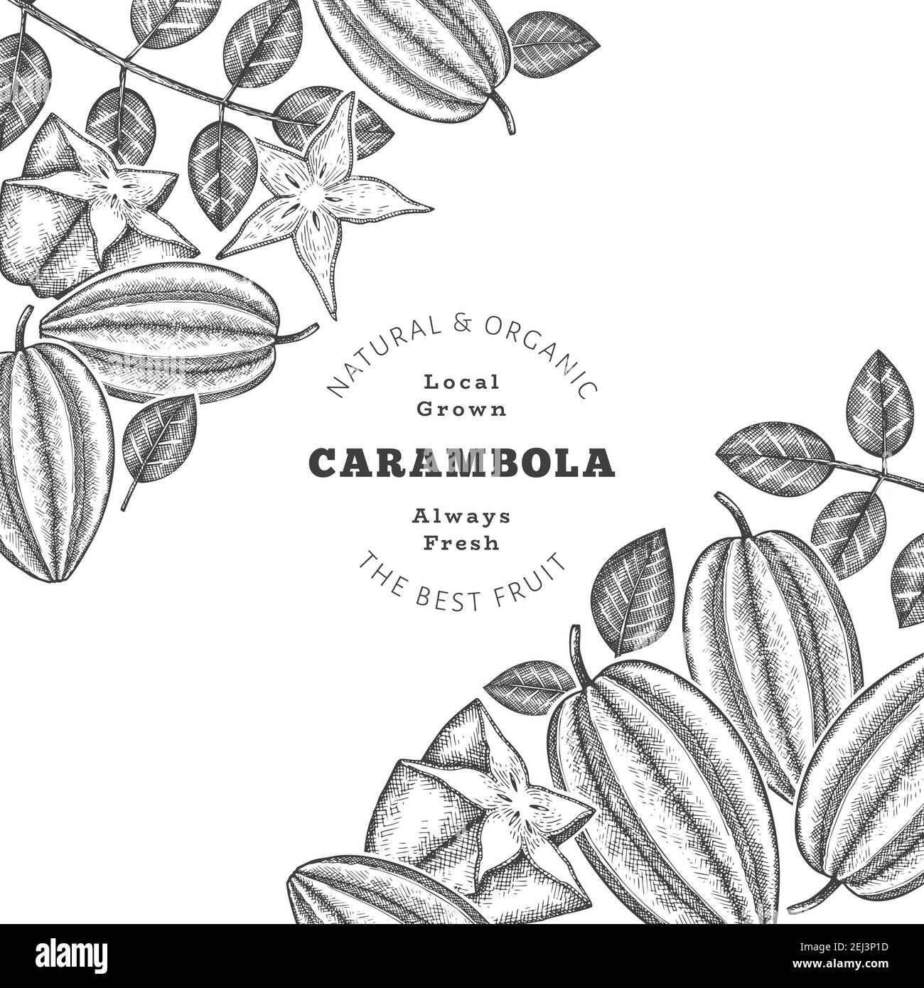Bannière carambola de style esquisse dessinée à la main. Illustration vectorielle de fruits frais biologiques. Modèle rétro fruit design Illustration de Vecteur