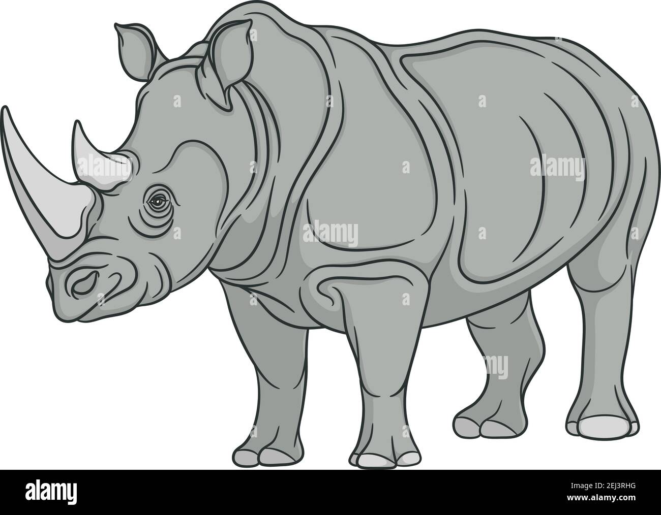 Illustration vectorielle couleur rhinocéros. Objet isolé sur fond blanc. Illustration de Vecteur