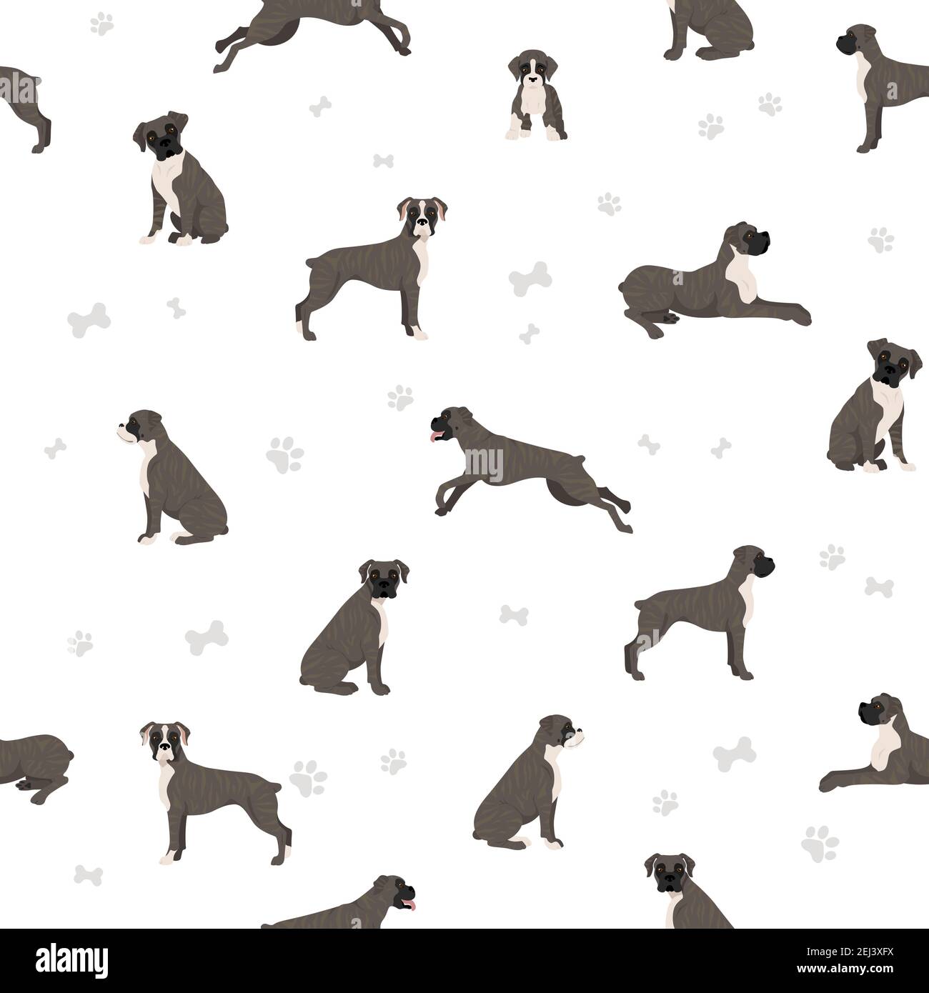 Motif boxer sans coutures pour chien. Différentes poses, chiot. Illustration vectorielle Illustration de Vecteur