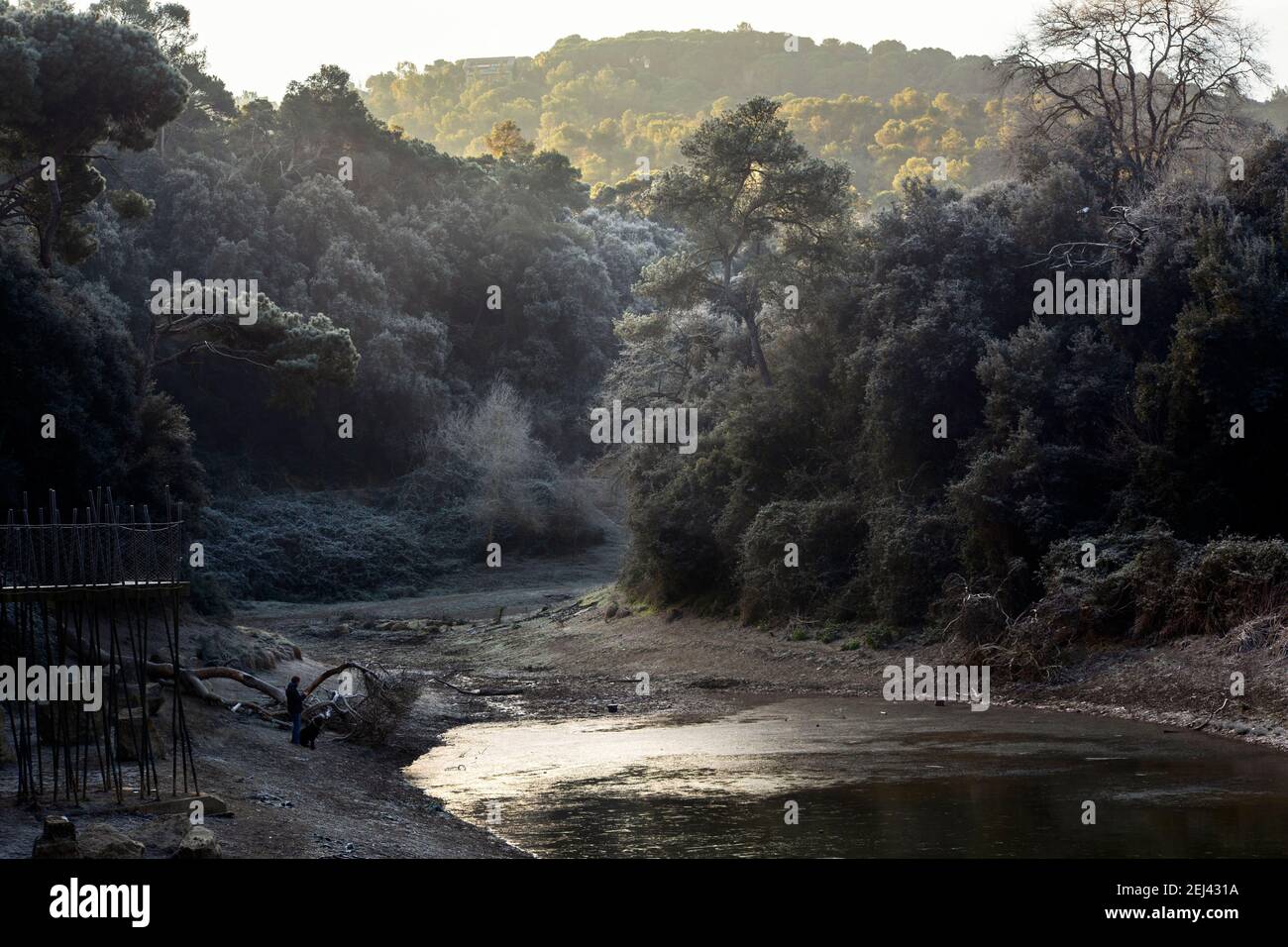 El pantano de Vallvidrera durante el almanecer en invierno se ve todo congelado. En invierno algunas partes del parque pueden legar a temperatura mu Banque D'Images