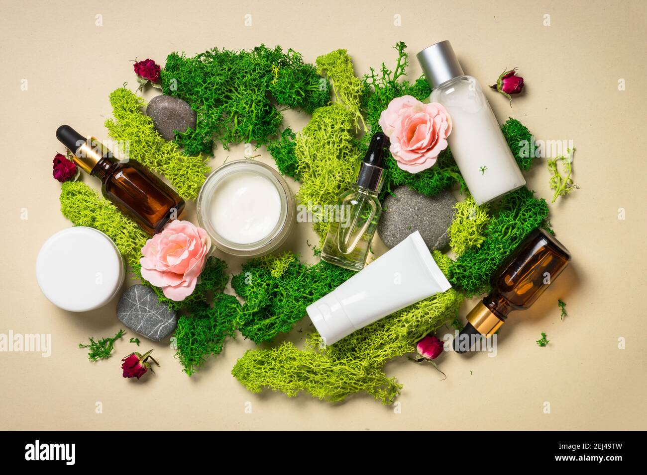 Produits cosmétiques naturels avec plantes. Banque D'Images
