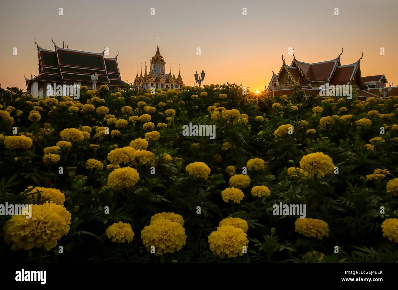 Magnifique ciel et temple Wat Ratchanatdaram à Bangkok, Thaïlande. Architecture thaïlandaise: Wat Ratchanadda, Loha Prasat et pavillon thaïlandais traditionnel est AMO Banque D'Images