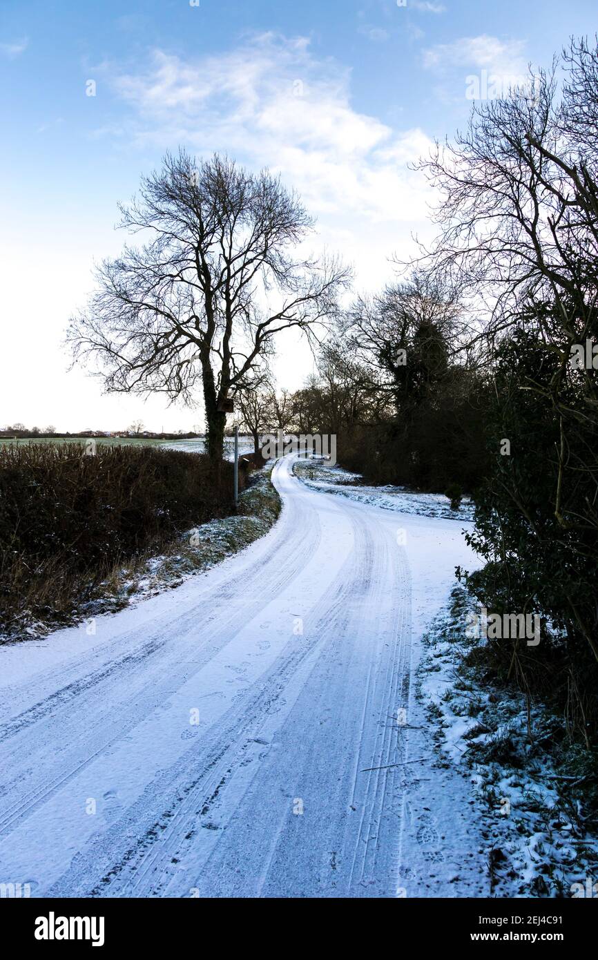 Green Lane en hiver Cherry Willingham Banque D'Images