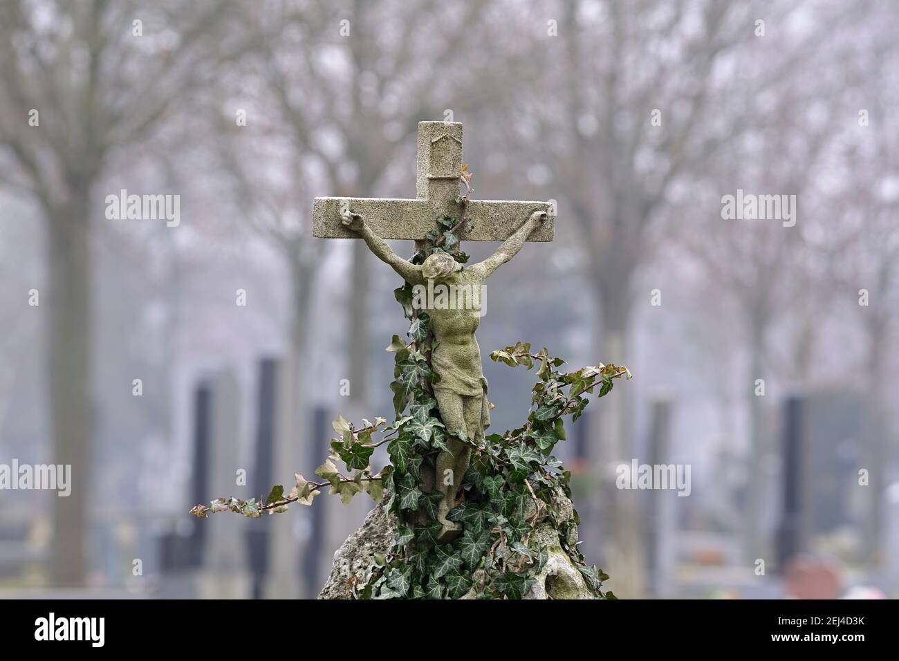 Vienne, Autriche. Le cimetière central de Vienne. Croix de pierre dans la brume matinale. Banque D'Images