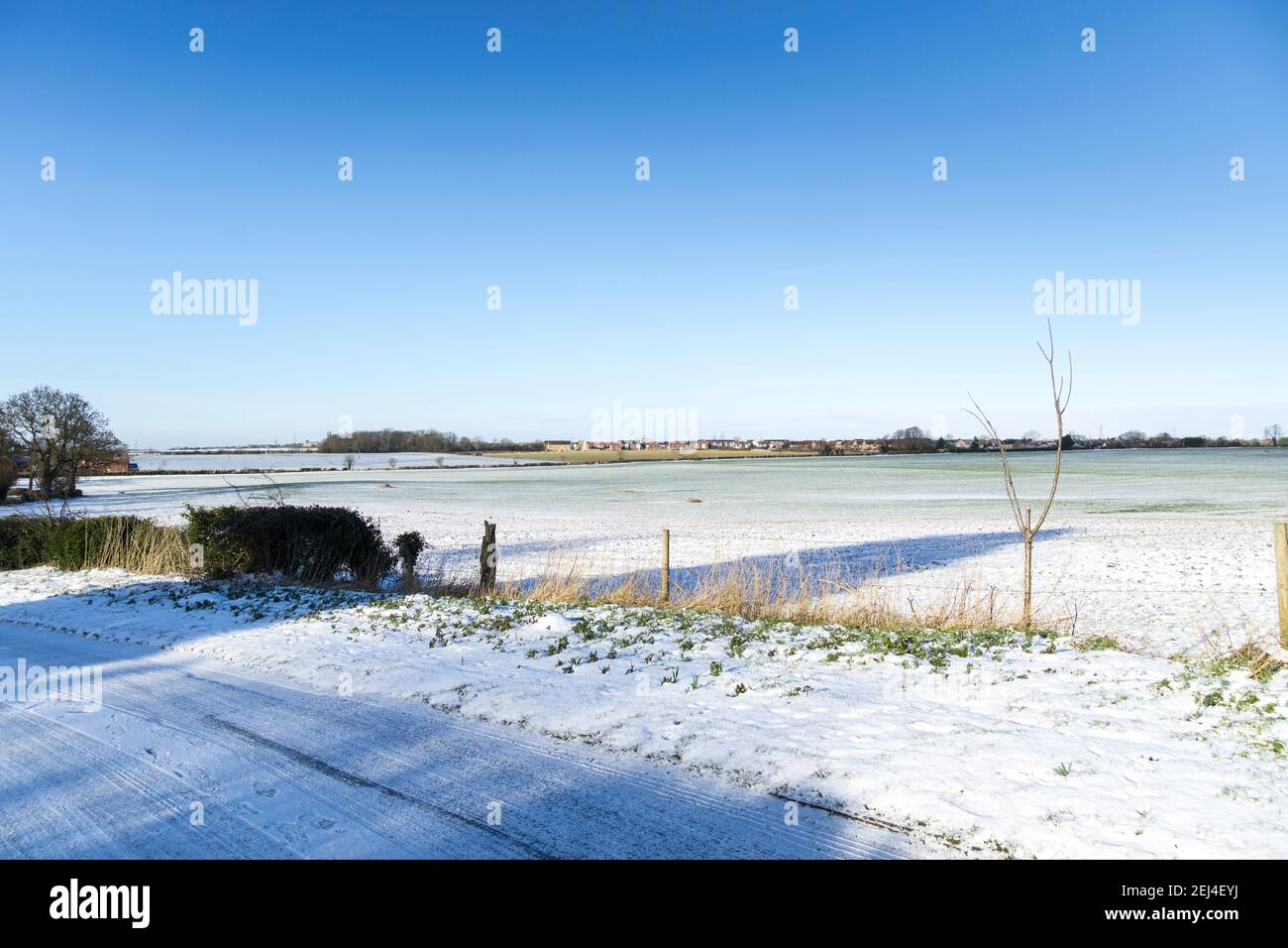 Vue d'hiver sur les champs depuis Green Lane Cherry Willingham Banque D'Images