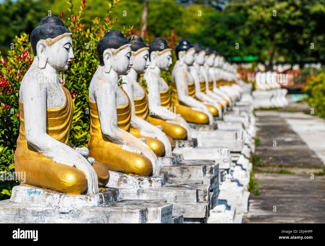 Buddhas, Aung Zay Yan Aung Pagoda, Myitkyina, état de Kachin, Myanmar Banque D'Images