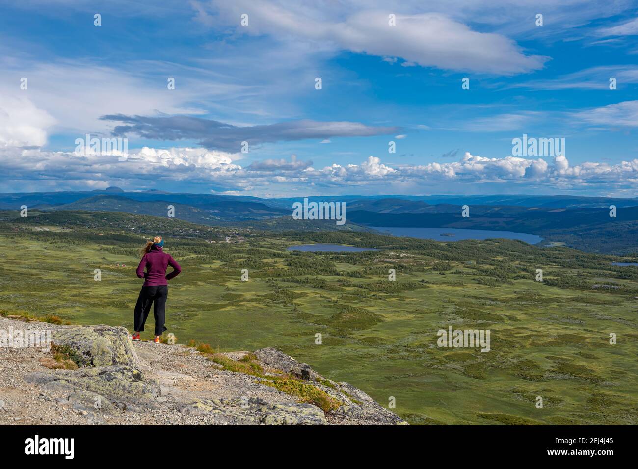 Randonneur regardant sur la toundra, la toundra, paysage vallonné avec des lacs, Oystre Slidre, parc national de Jotunheimen, Norwege Banque D'Images