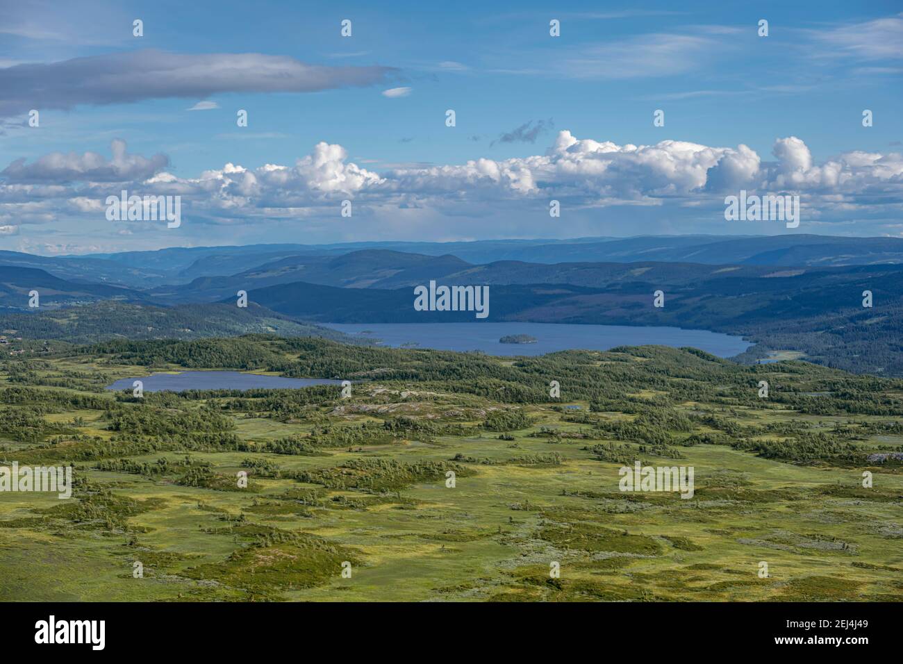 Toundra, paysage vallonné avec lacs, Oystre Slidre, Parc national de Jotunheimen, Norwege Banque D'Images