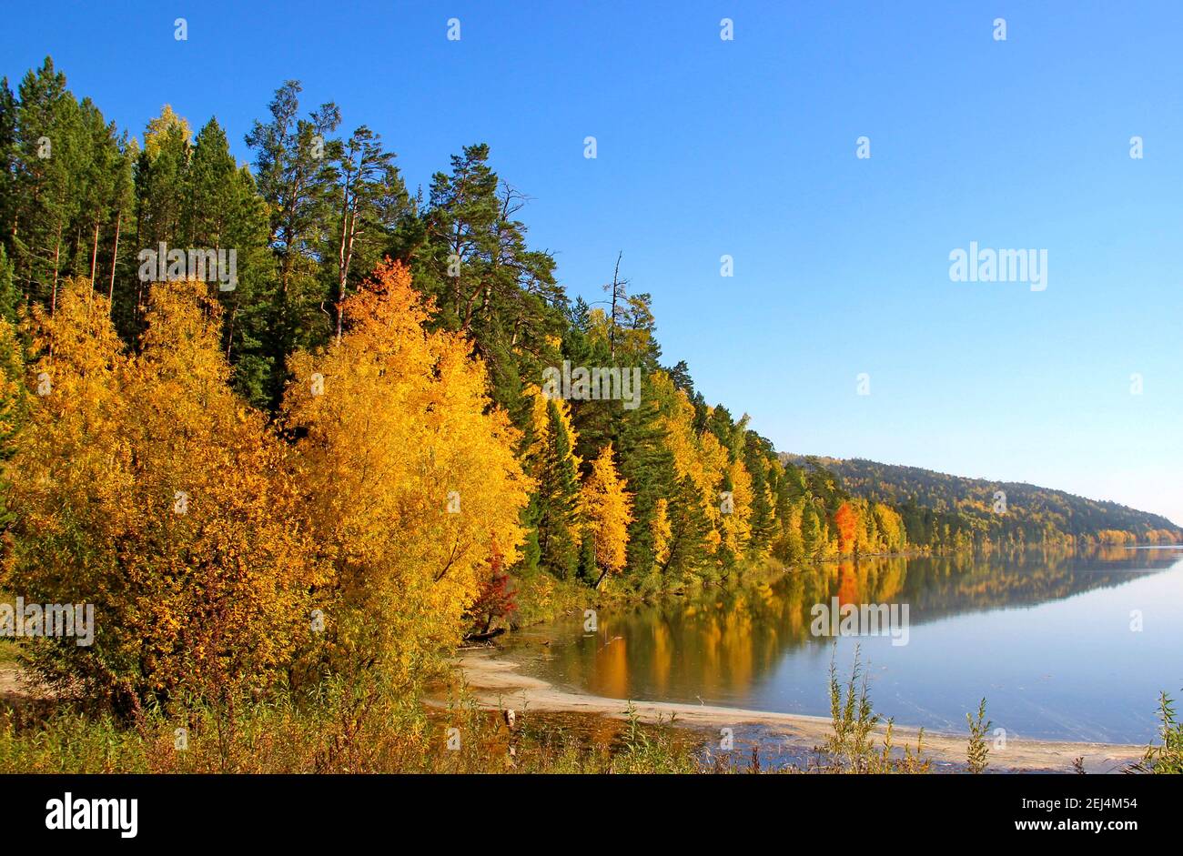 Paysage d'automne lumineux : le littoral de la rivière, densément boisé, se déforme doucement vers l'horizon. Banque D'Images