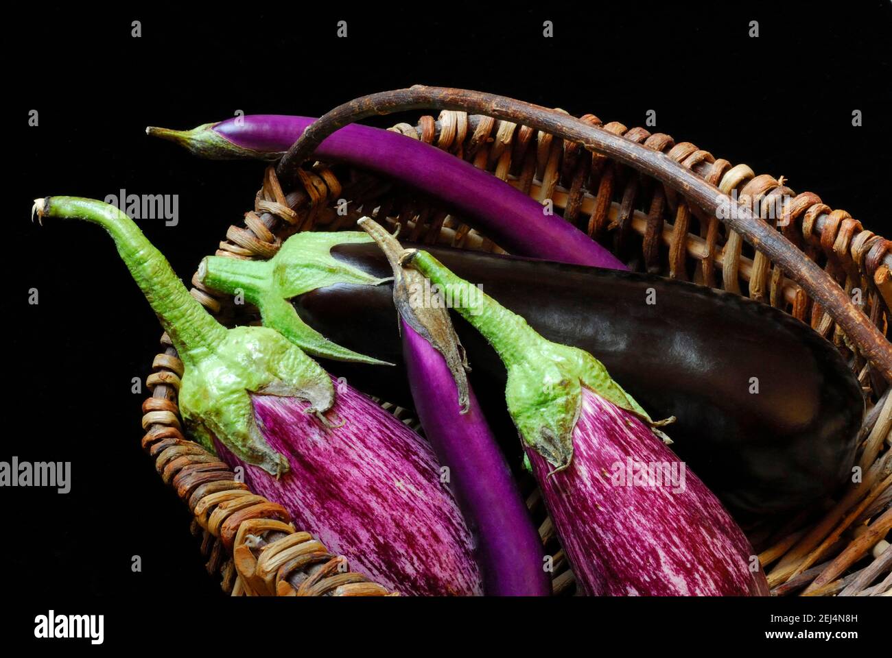 Plantes à oeufs diverses ( Solanum melongena) Banque D'Images