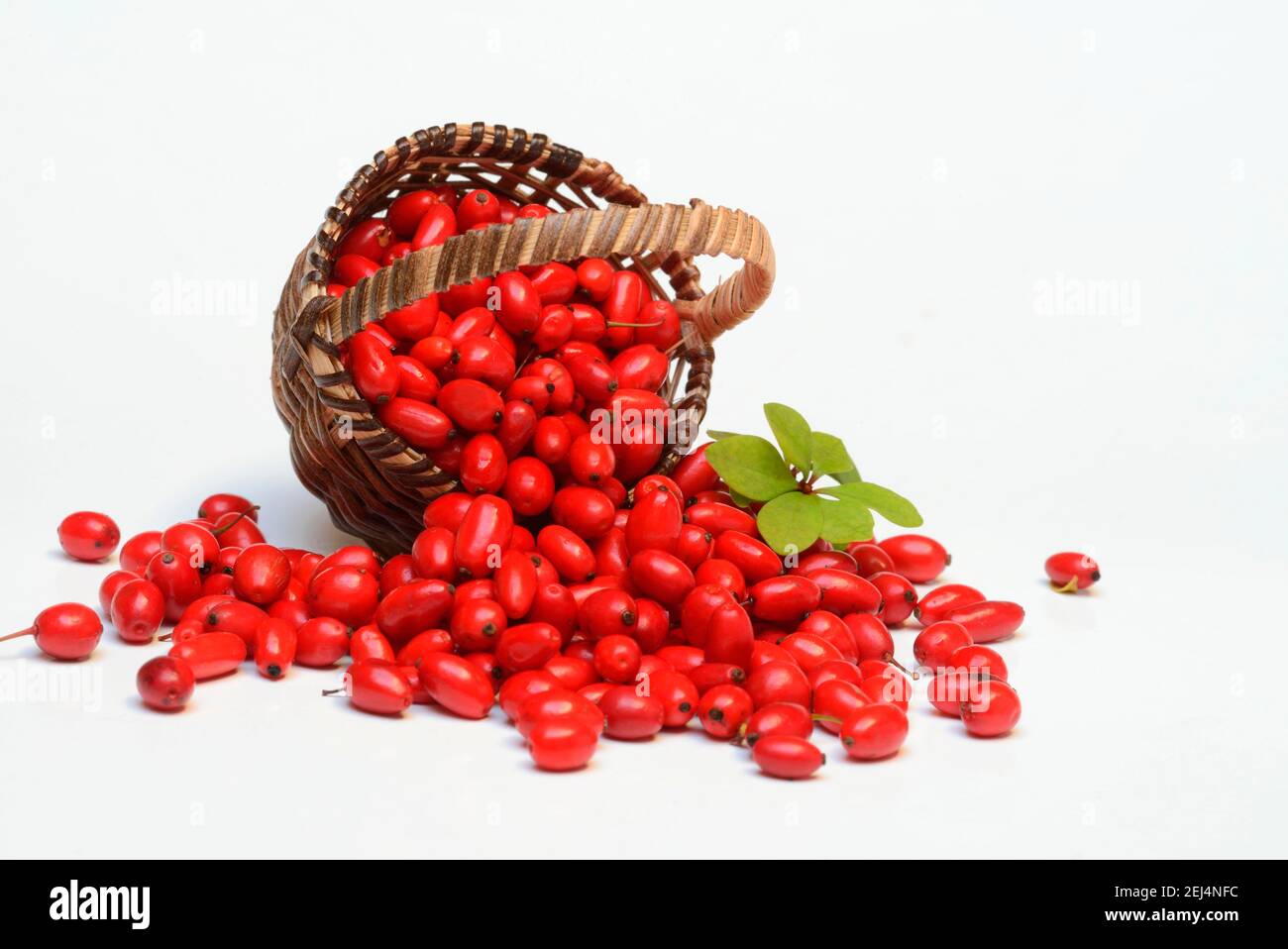 Baies de mûres (Berberis vulgaris) en paniers Banque D'Images