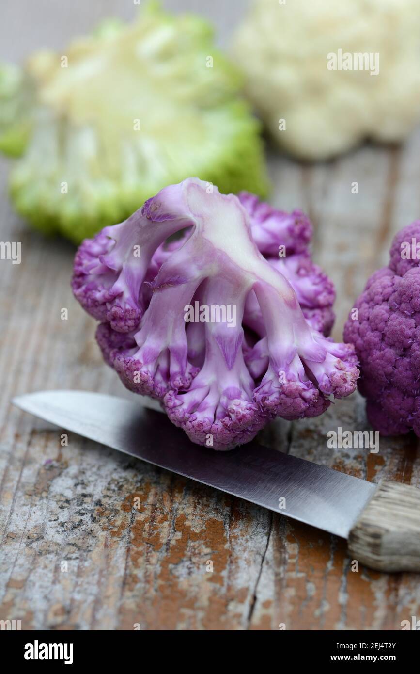 Chou-fleur pourpre ( Brassica oleracea var. Botrytis) avec couteau Banque D'Images