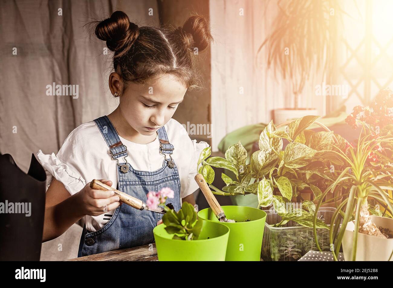 petite belle fille concentrée est de planter des fleurs dans un pot de fleurs. jardinage de printemps à la maison. origine caucasienne. vue de face. Banque D'Images