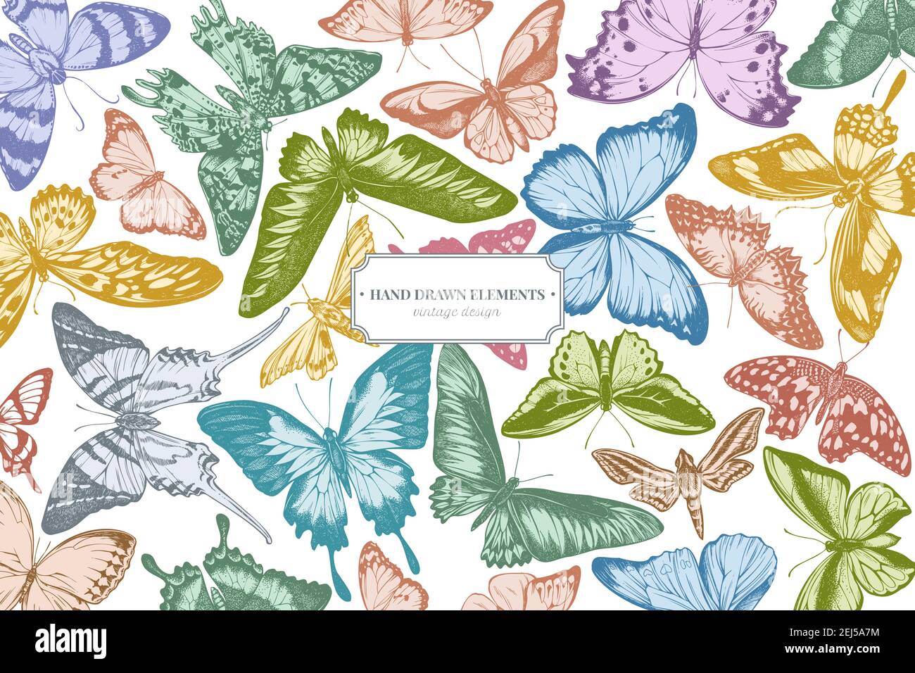 Design avec pointe orange pastel, queue d'allowtail émeraude, reines de jungle, tigre Uni, aile d'oiseaux de rajah brooke, papillio torquatus, queue d'allowtail Illustration de Vecteur