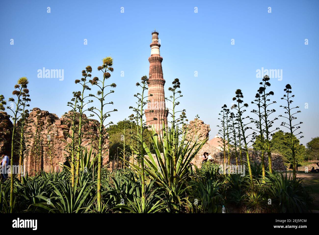 Qutb Minar, Mehrauli, New Delhi, Inde Banque D'Images