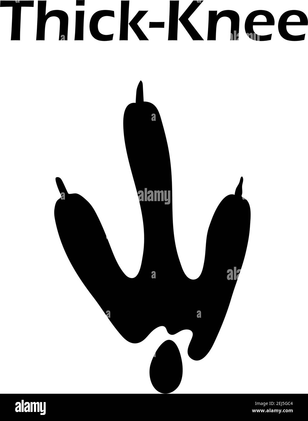 Thick-Knee empreinte écologique. Design silhouette noire. Vector Illustration. Illustration de Vecteur